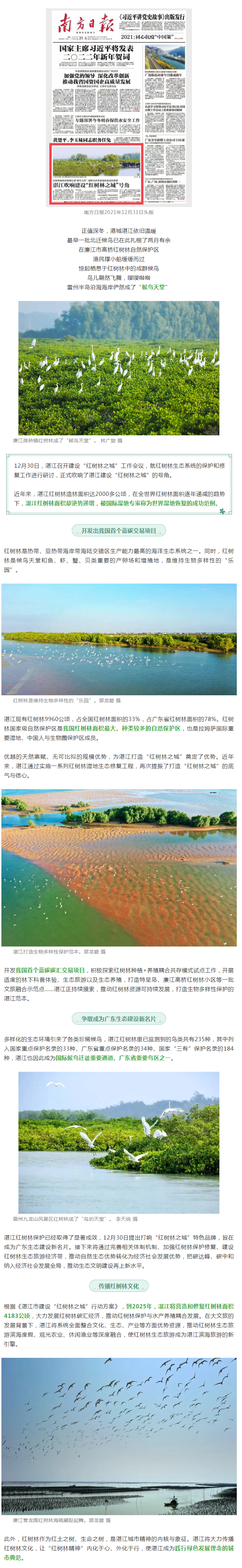 世界濕地恢復(fù)成功范例&hellip;&hellip;南方日報頭版重磅聚焦湛江！.png