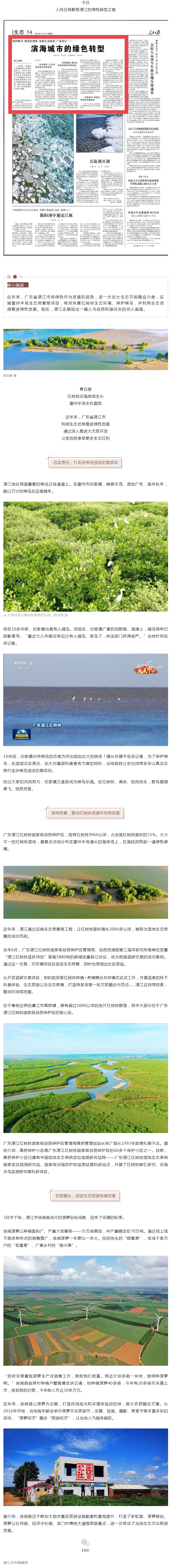 人民日報頭條聚焦湛江：濱海城市的綠色轉型！.png