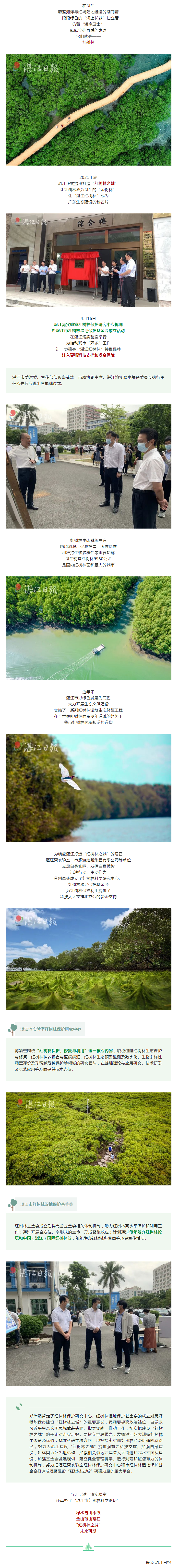 湛江紅樹林之城，插上騰飛的雙翼！.png