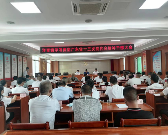 洋青鎮學習貫徹廣東省十三次黨代會精神198.png