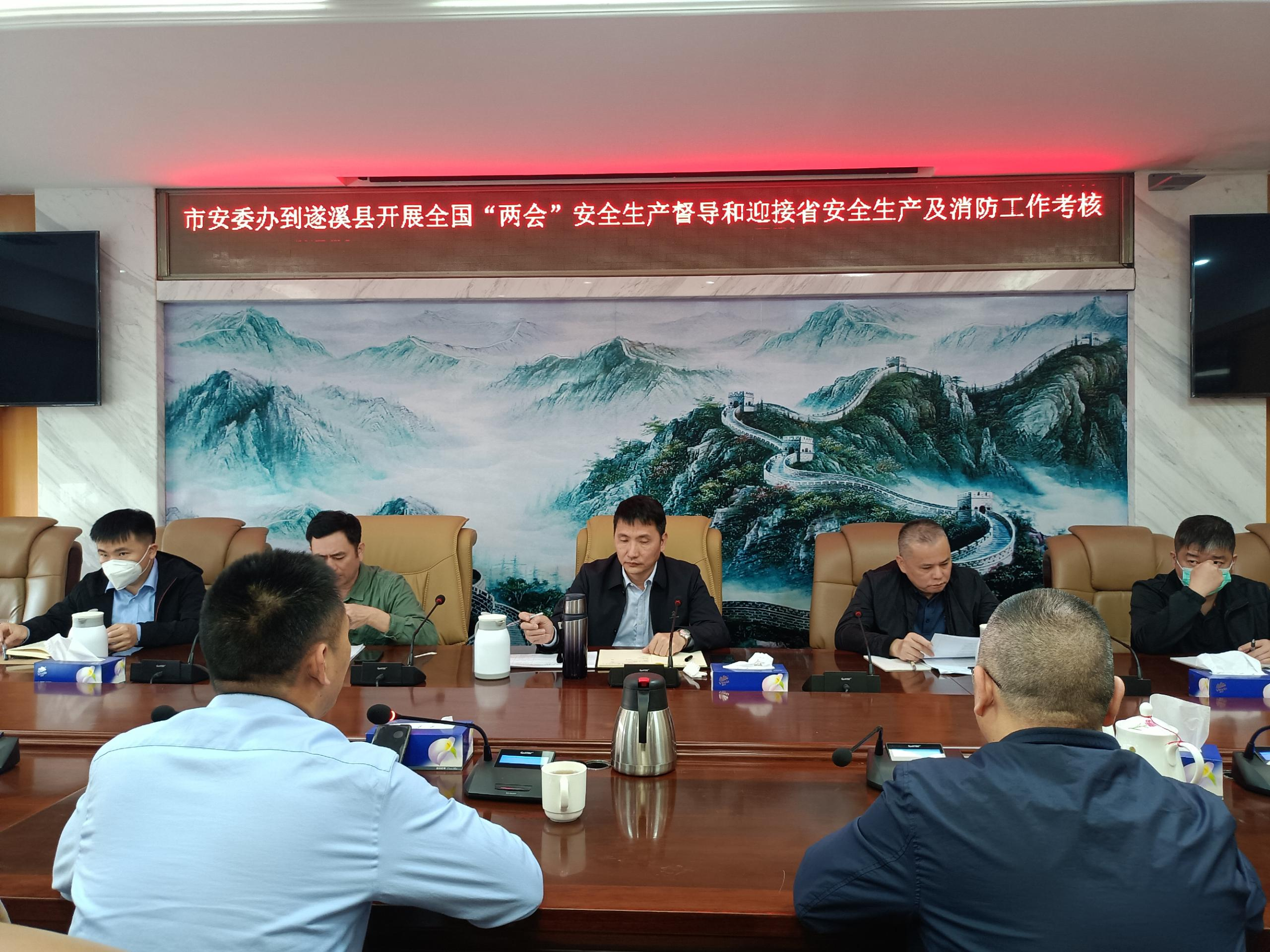 市安委辦督導組到遂溪縣開展全國“兩會”期間安全生產重大隱患專項整治指導和迎接省1.png