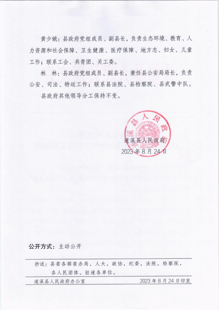 遂溪縣人民政府關(guān)于調(diào)整縣政府部分領(lǐng)導工作分工的通知_01.png
