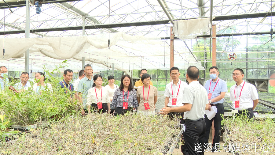 遂溪縣人大常委會開展《廣東省科技創新條例》執法檢查